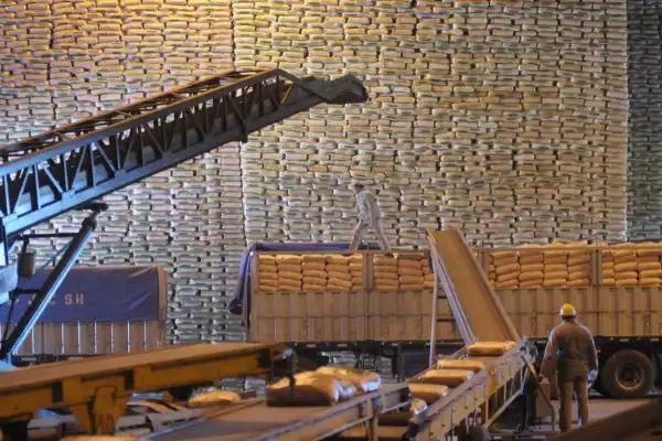 Se registró un récord de exportaciones para la última década
