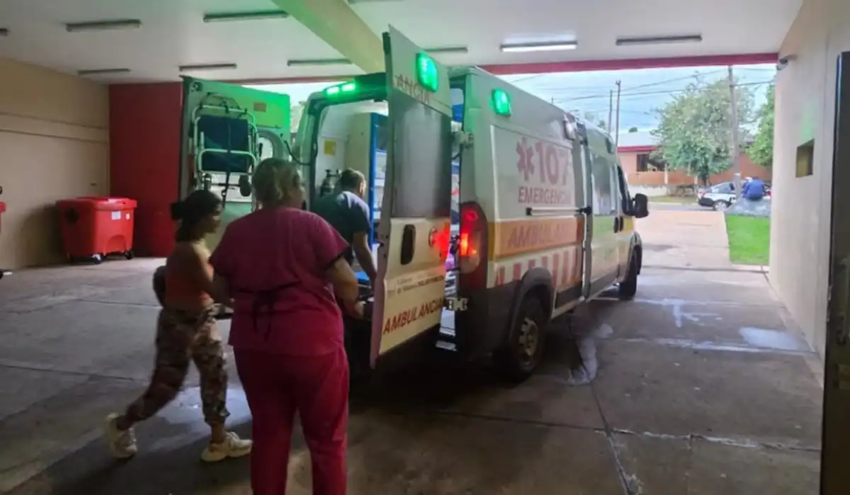 Brutal ataque en Misiones: siete perros mordieron a un niño dentro de su casa y está grave