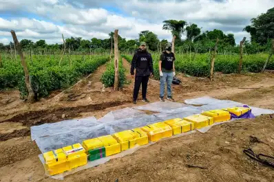 El nuevo rol de Tucumán en el negocio narco del NOA