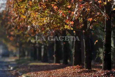 Cómo estará el tiempo en Tucumán este domingo