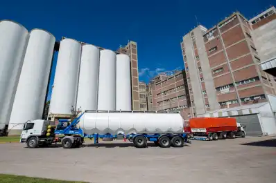 La molienda de girasol de marzo marcó el récord de los últimos 17 años, según Agricultura