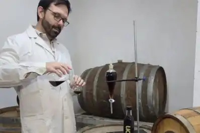 La Estación Experimental desarrolló un ron de alta calidad en Tucumán a partir de alcohol de caña de azúcar