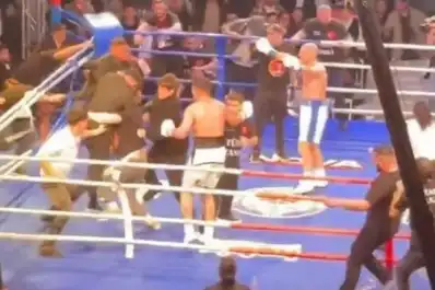 VIDEO: la batalla campal entre turcos y rusos que terminó con sillas volando tras una velada de boxeo