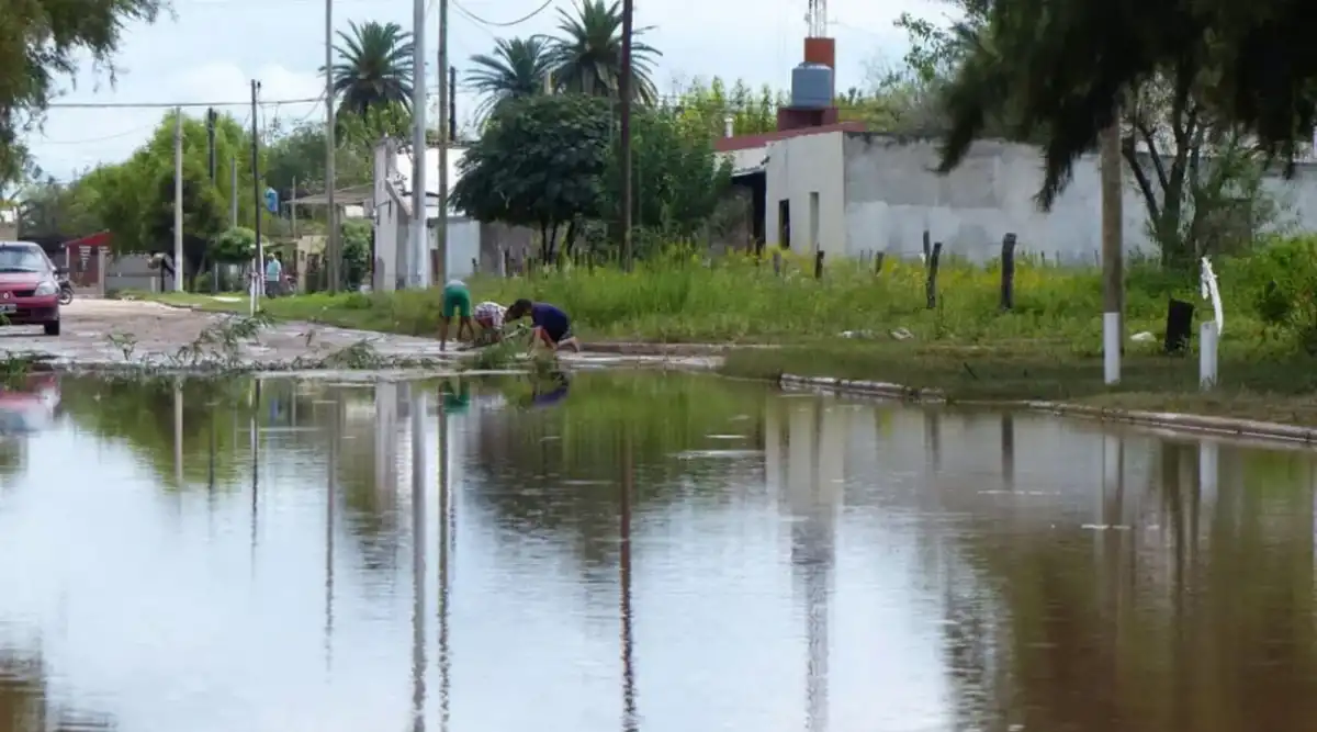 Qué más falla en las inundaciones: el rol del agro y la responsabilidad por los desmontes
