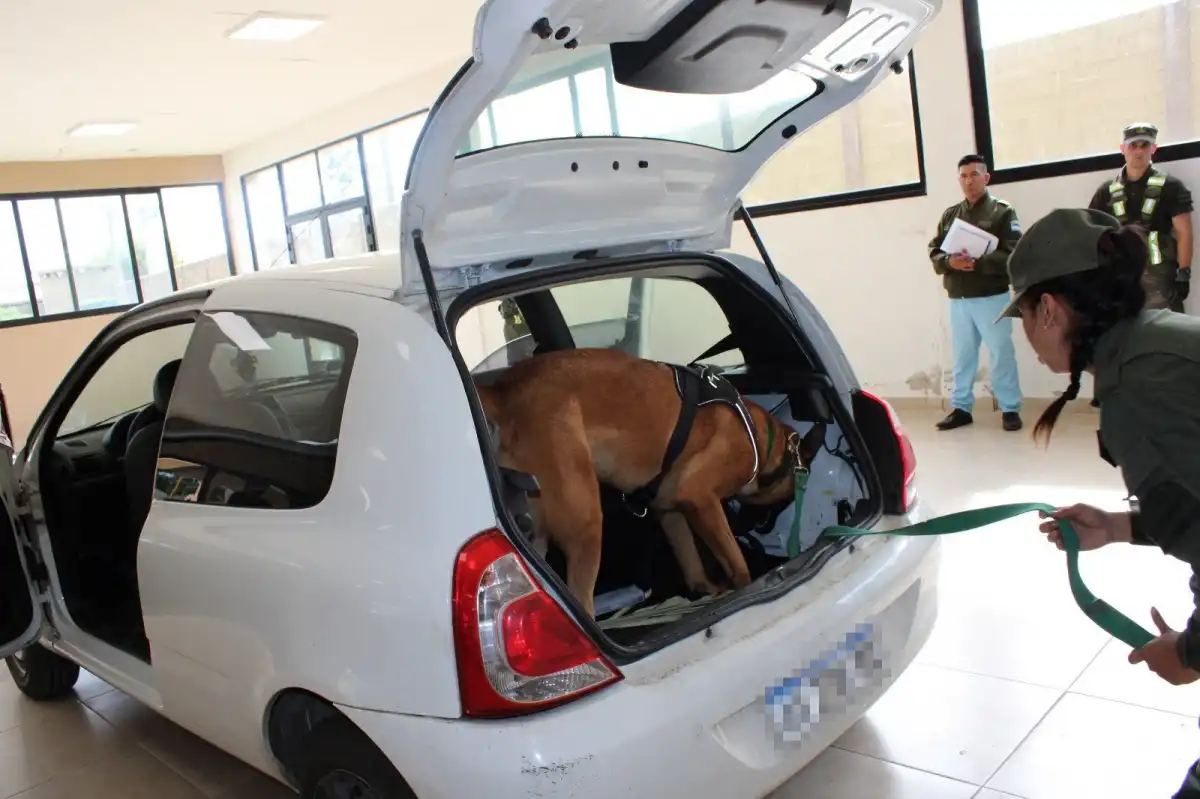Tucumán: dos hermanos ocultaban más de 21 kilos de cocaína en un vehículo