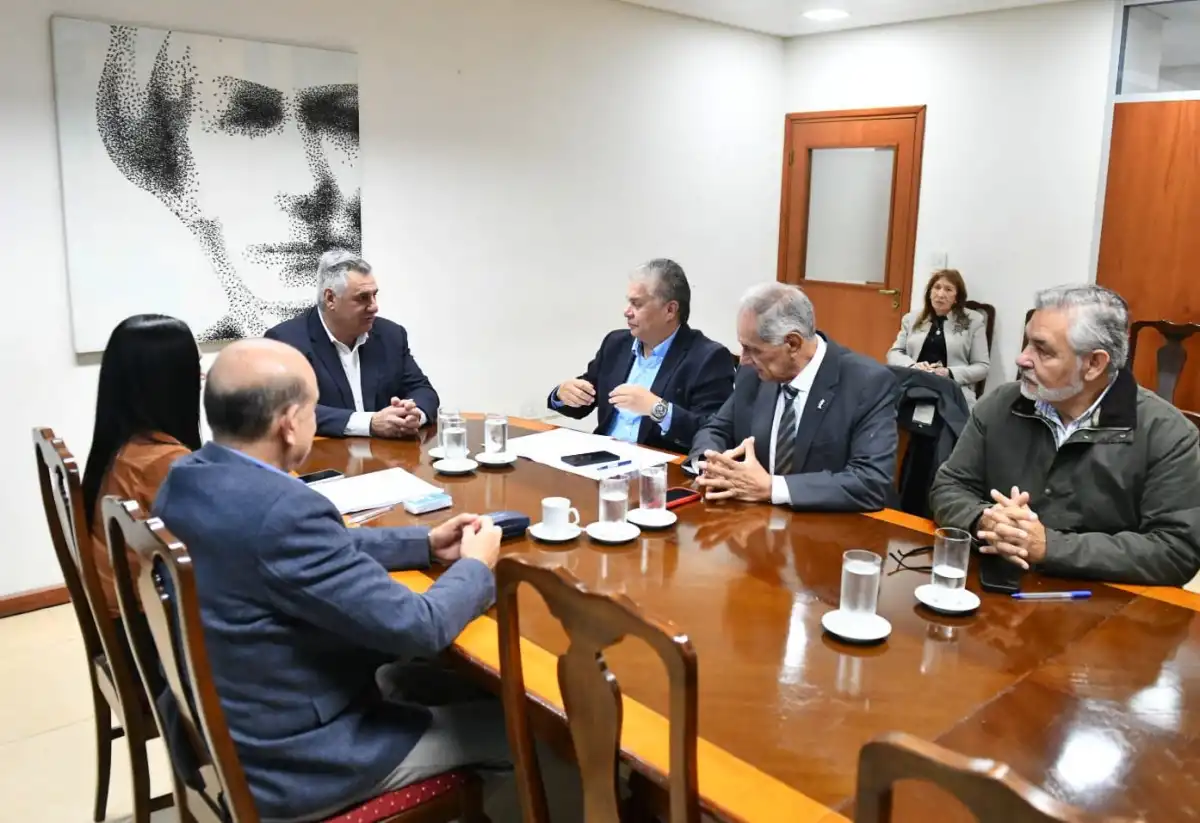 EN REUNIÓN DE COMISIÓN. Caponio encabezó la mesa de trabajo de sus pares de Transporte y Obras Públicas. Foto de Prensa HLT
