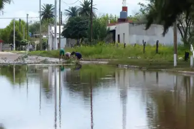 Qué más falla en las inundaciones: el rol del agro y la responsabilidad por los desmontes
