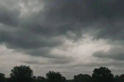 Vientos de hasta 90 km/h y lluvia intensa: cuáles son las provincias bajo alerta amarilla