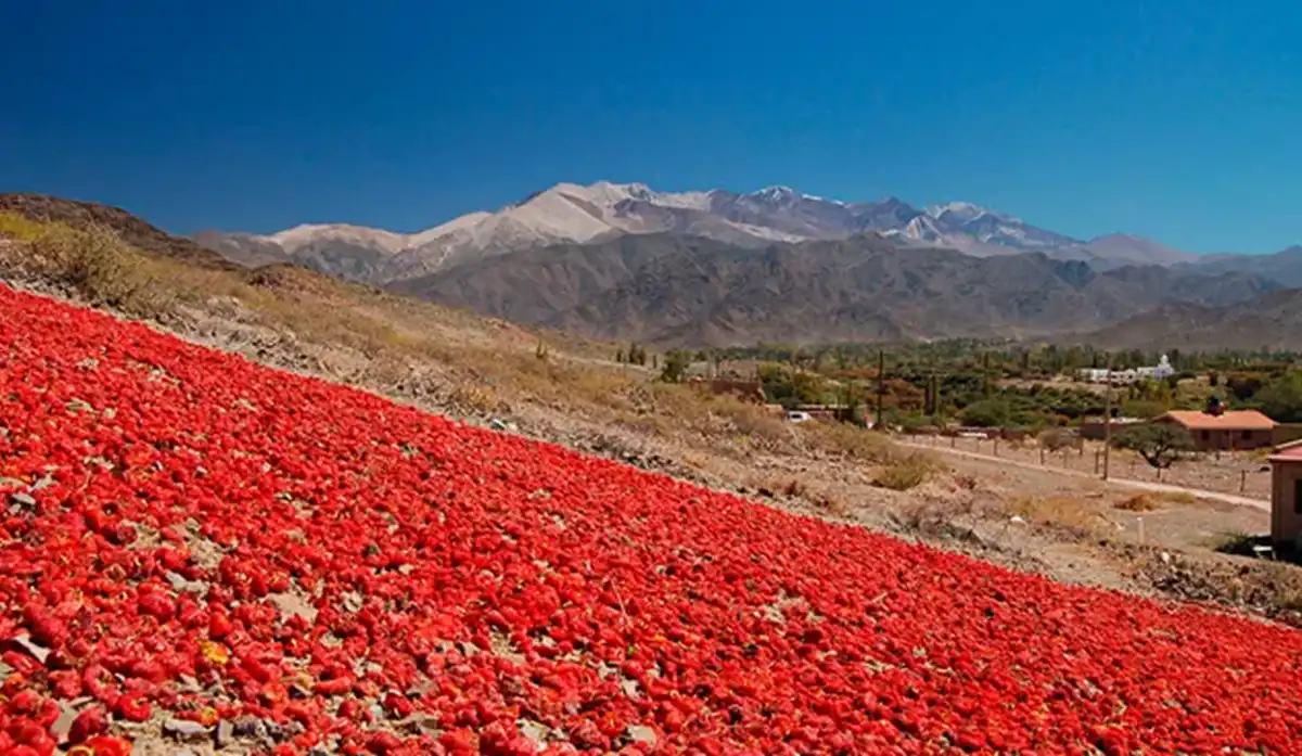 Payogasta: un pueblo de contrastes. 
