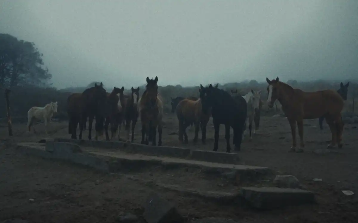 FILME INTENSO. Virginia Scaro retrata en “Yegua” un aspecto de la idiosincrasia de quienes habitan la montaña.