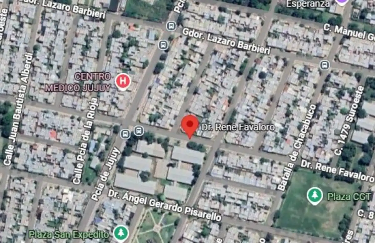 Aparecieron serpientes en San Miguel de Tucuman: cuáles son las zonas afectadas