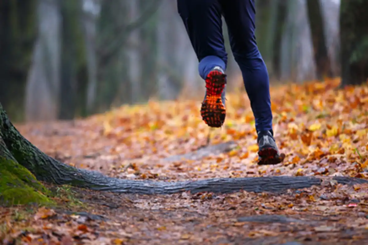 Correr en otoño: guía práctica para entrenar sin sustos