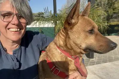 Una tucumana creó la primera base de datos de animales perdidos y en adopción de la provincia