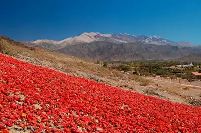 Montañas de pimientos y casas de adobe: la joya del Norte que resguarda un Patrimonio de la Humanidad
