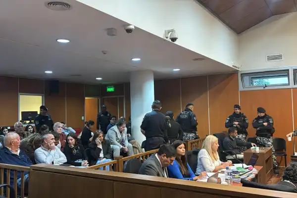 Crimen en el country: la querella pidió investigar por falso testimonio a tres peritos de la defensa