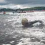 Es tucumana, le sacaron media pelvis por un cáncer y se clasificó al Mundial de aguas abiertas