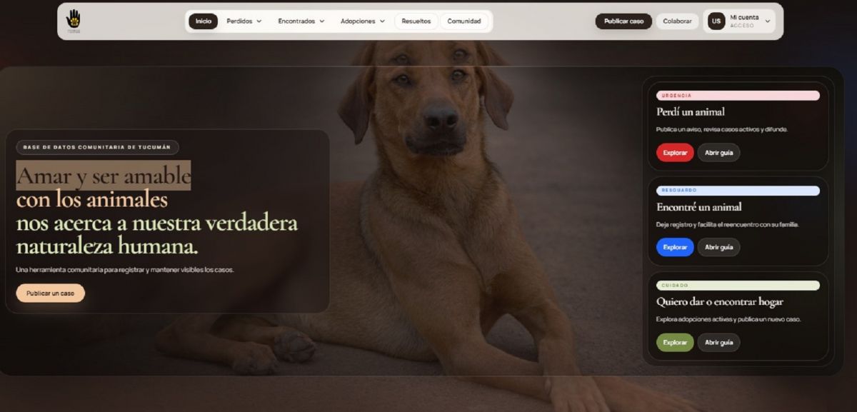 Con Santiago Coronel como diseñador web, nació www.perdidosyadopciones.com.ar 