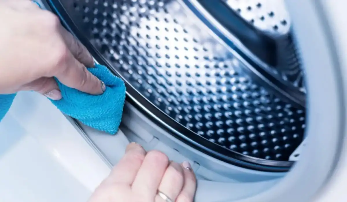 El mito del vinagre y el bicarbonato: ¿por qué no sirven para limpiar el lavarropas?