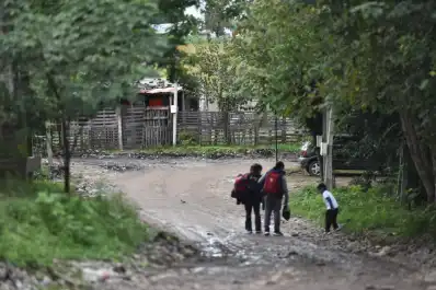 Dengue y chikungunya, potenciados por el desorden urbano en Tucumán