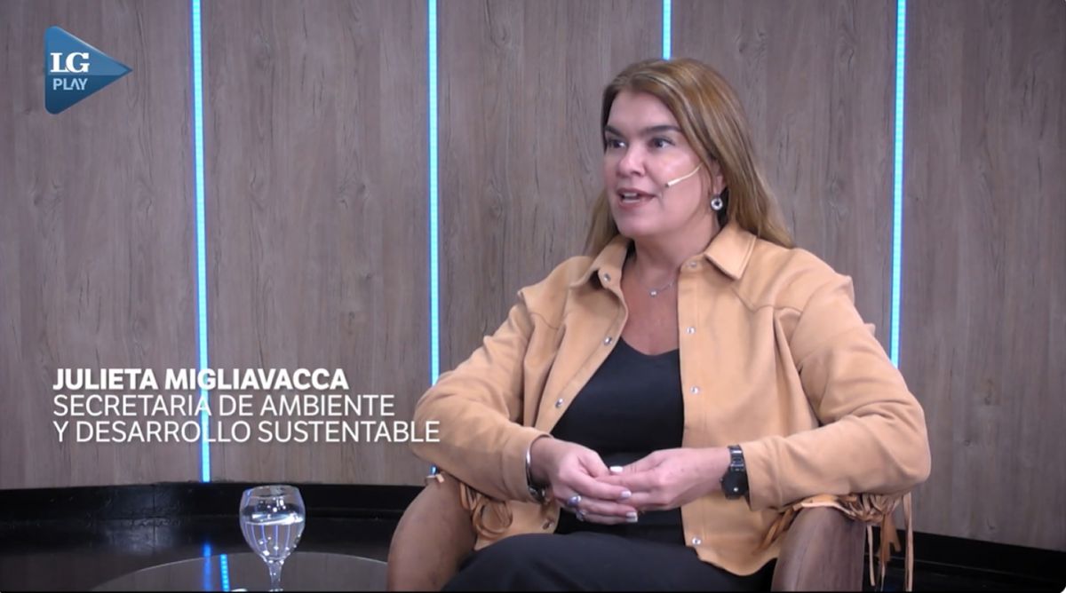 “El problema no es solo el mosquito”: las fallas urbanas que explican el avance del chikungunya en Tucumán