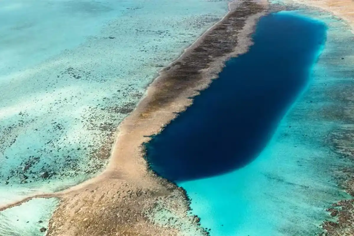 Una gigantesca franja de algas avanza sobre el Atlántico y genera preocupación mundial
