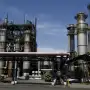 El NOA produjo 602.299.600 litros de alcohol hidratado