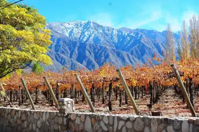 Acequias, bodegas, degustaciones y paisajes: el pueblo turístico de un ex presidente