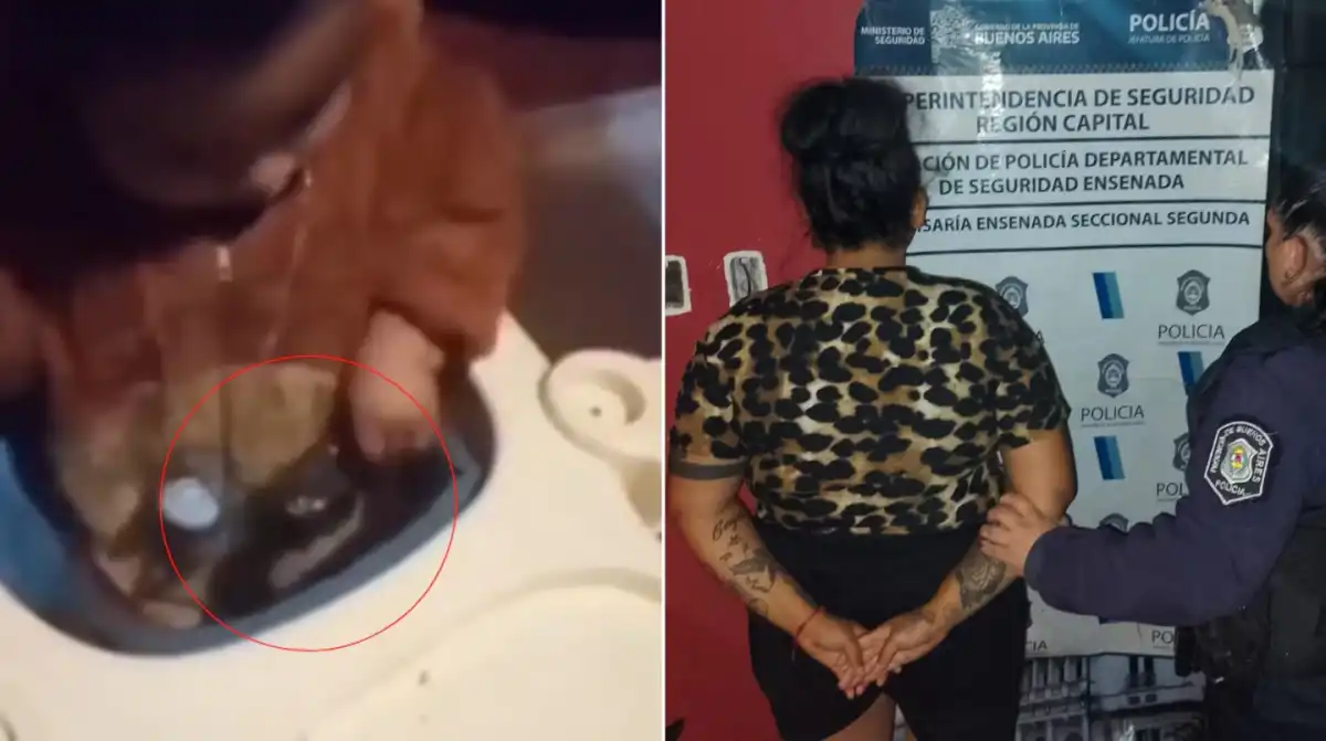 Detuvieron en La Plata a una mujer que filmó a su bebé jugando con un arma y lo subió a redes
