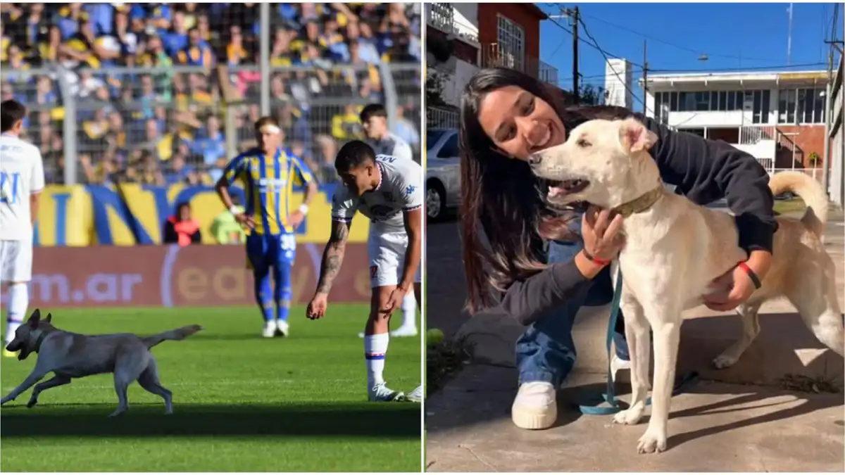 Coco ingresó al campo de juego en el partido entre Rosario Central y Newell's.