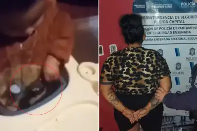 Detuvieron en La Plata a una mujer que filmó a su bebé jugando con un arma y lo subió a redes