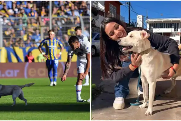 La historia de “Coco”, el perro que se robó la atención en Rosario Central-Tigre