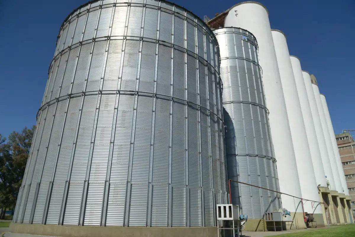 Molienda de trigo. AGRICULTURA 