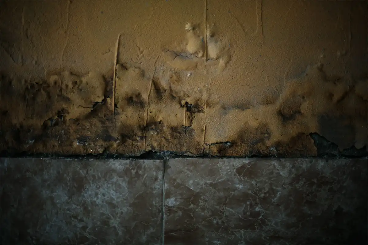 Cicatrices de humedad: las marcas que dejan las inundaciones en las casas de La Madrid