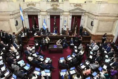 Ficha Limpia quedó afuera del proyecto de reforma electoral