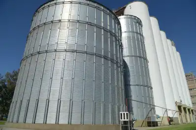 La molienda de trigo pan aumentó 12,3% en marzo, según la Secretaría de Agricultura