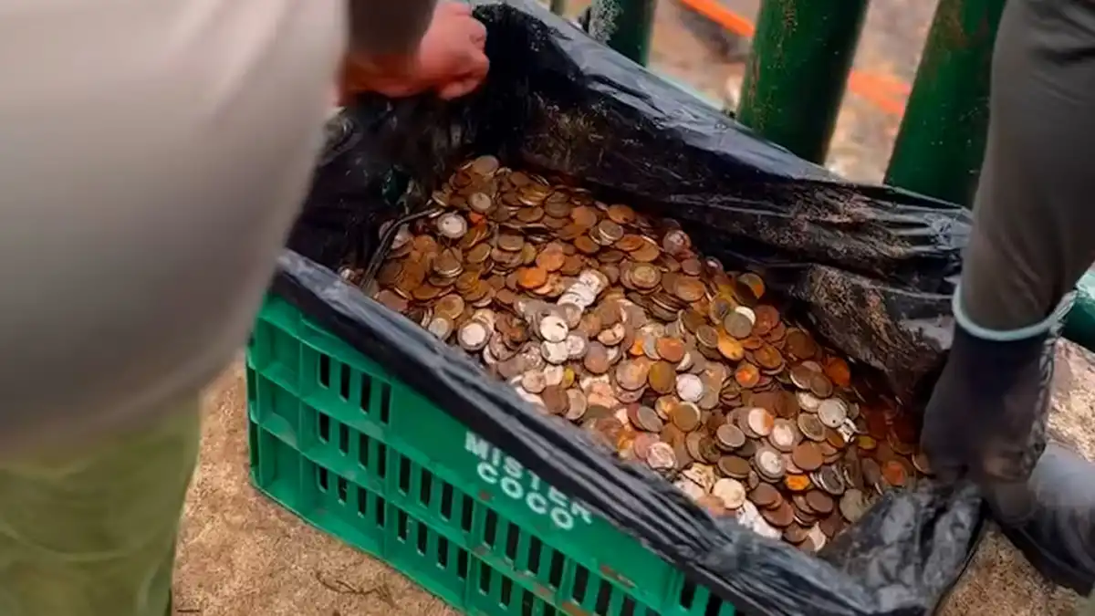 Sorpresa en la limpieza del río Iguazú: encontraron más de 300 kilos de monedas en las cataratas
