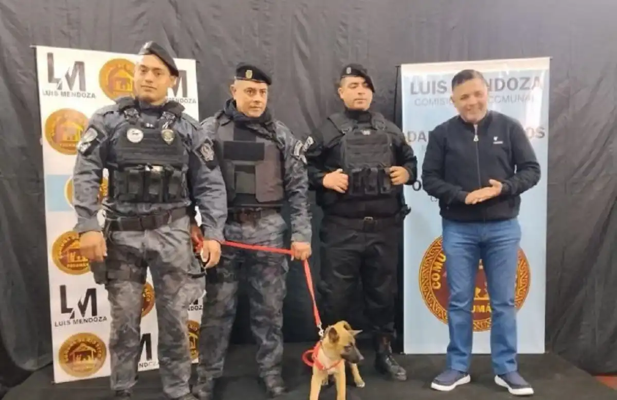 EN LA FOTO. “Río”, el ovejero belga que será entrenado especialmente para la detección de estupefacientes.