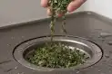 Por qué recomiendan poner hojas de laurel en las tuberías y para qué sirve este truco casero