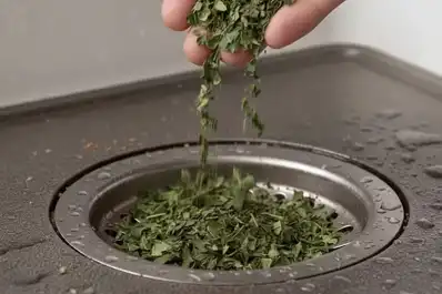 Por qué recomiendan poner hojas de laurel en las tuberías y para qué sirve este truco casero