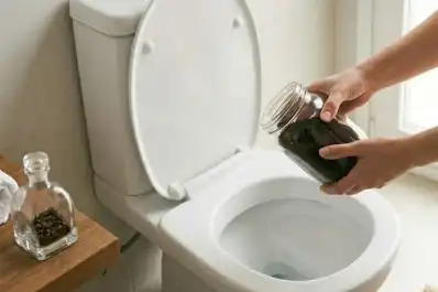 Por qué recomiendan tirar café usado en el inodoro y para qué sirve este truco casero