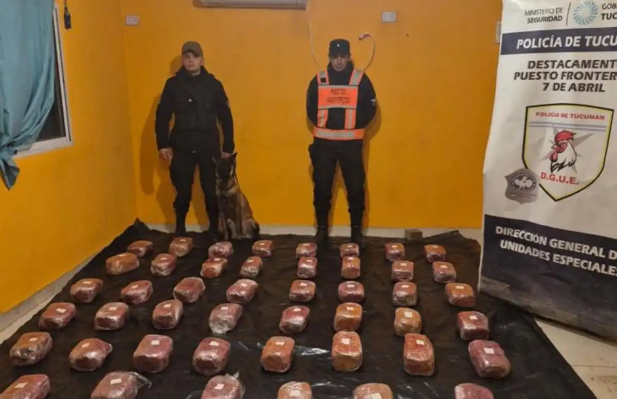 Tucumán: la Policía interceptó encomiendas con 48 kilos de marihuana y realizó dos arrestos