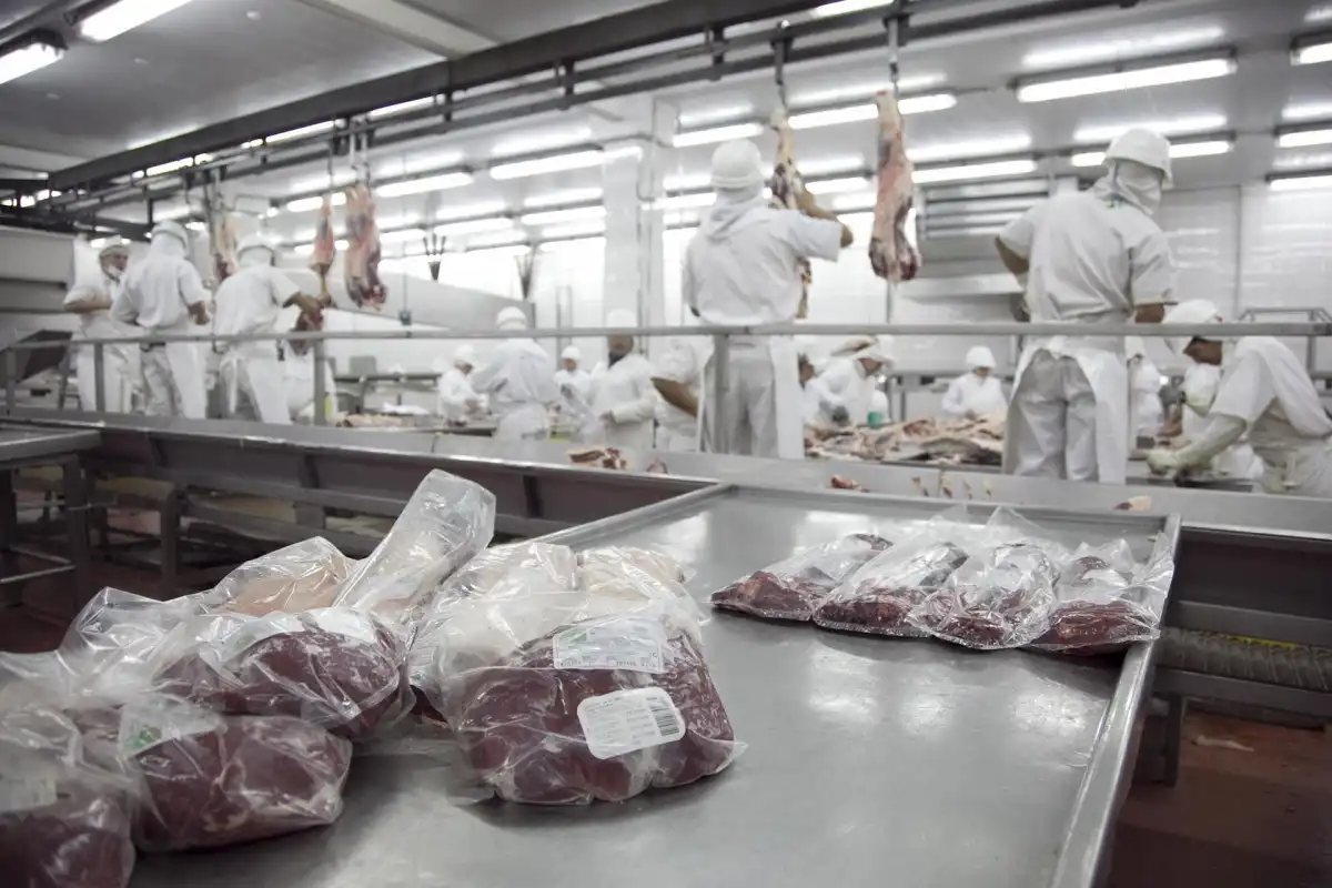 Exportación de carne vacuna. AGRICULTURA. 