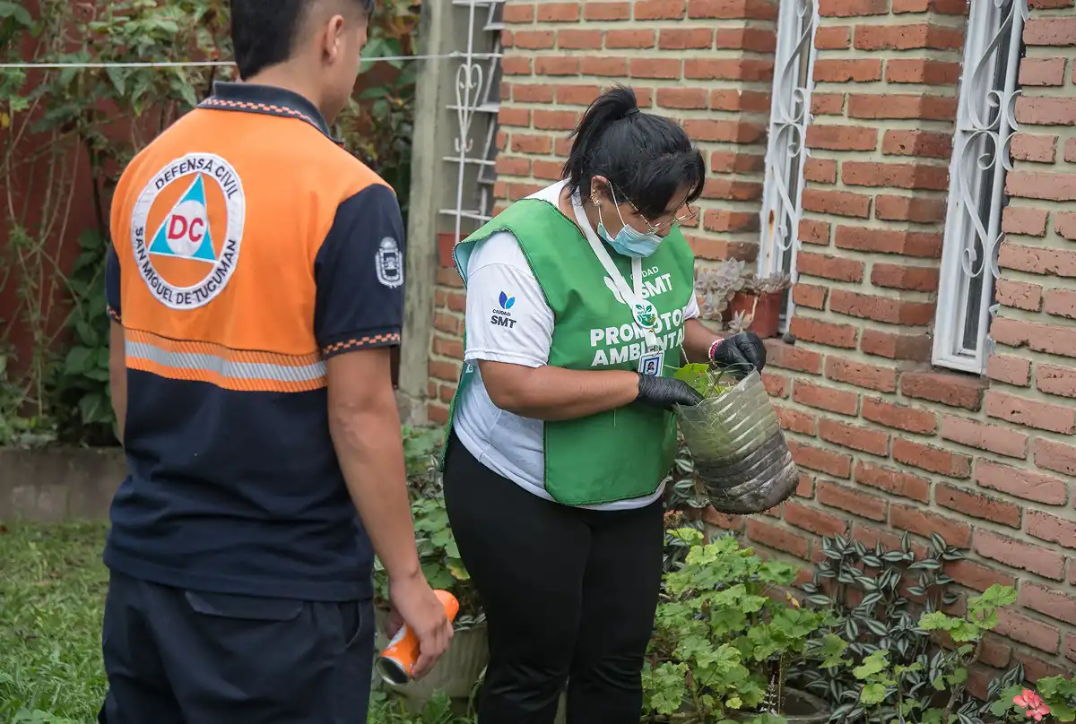 Plan antimosquitos y prevención de chikungunya: la Municipalidad ayudará a revisar patios, galerías y jardines