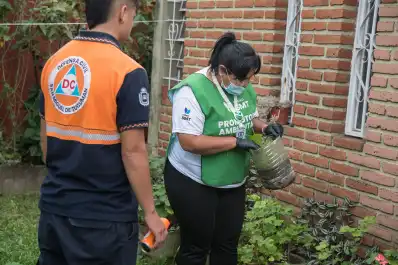 Plan antimosquitos y prevención de chikungunya: la Municipalidad ayudará a revisar patios, galerías y jardines