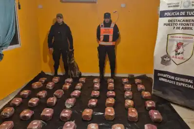 Tucumán: la Policía interceptó encomiendas con 48 kilos de marihuana y realizó dos arrestos