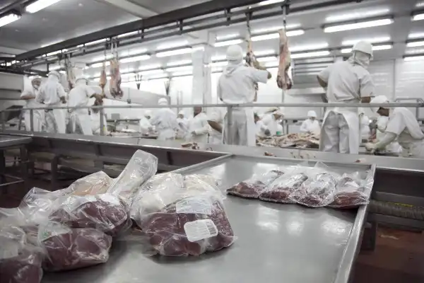 La exportación de carne bovina creció 53,95% en valor en el primer trimestre de 2026