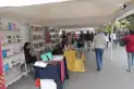 Mayo y el Mayito de las Letras: actividades para “cosechar lectores y plantar memoria”