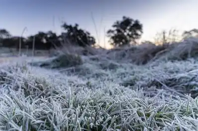 Alerta amarilla por frío extremo, vientos de hasta 80 km/h y nevadas: advierten por fenómenos riesgosos para la salud en el país