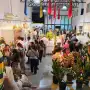 San Miguel de Tucumán será sede de una muestra de orquídeas y plantas exóticas