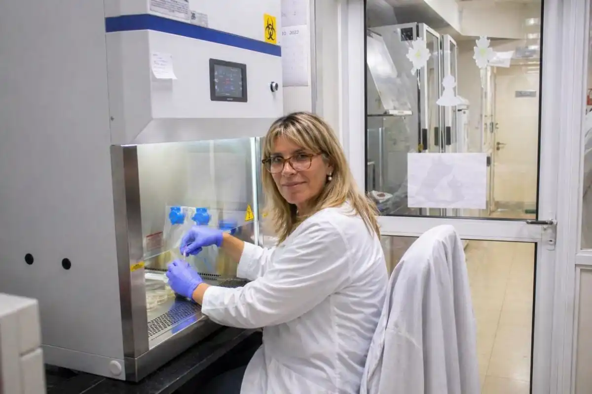 SIN GRAVEDAD. “Es como tener un laboratorio orbitando”, dijo Chehín, directora del Instituto de Medicina Molecular y Celular aplicada.